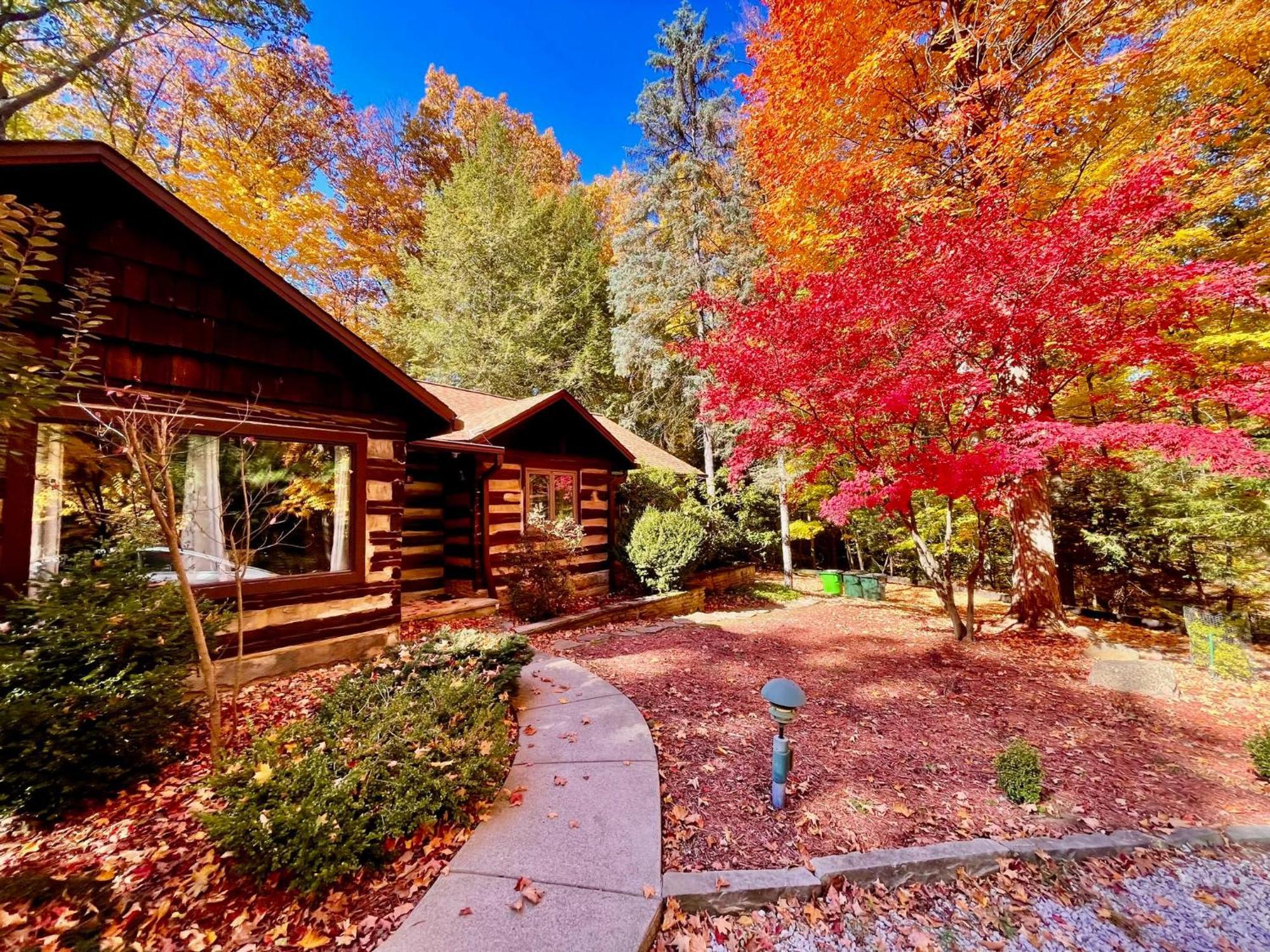 Log Cabin - Natures Oasis - Fire Pit & Gazebo Cleveland Dış mekan fotoğraf