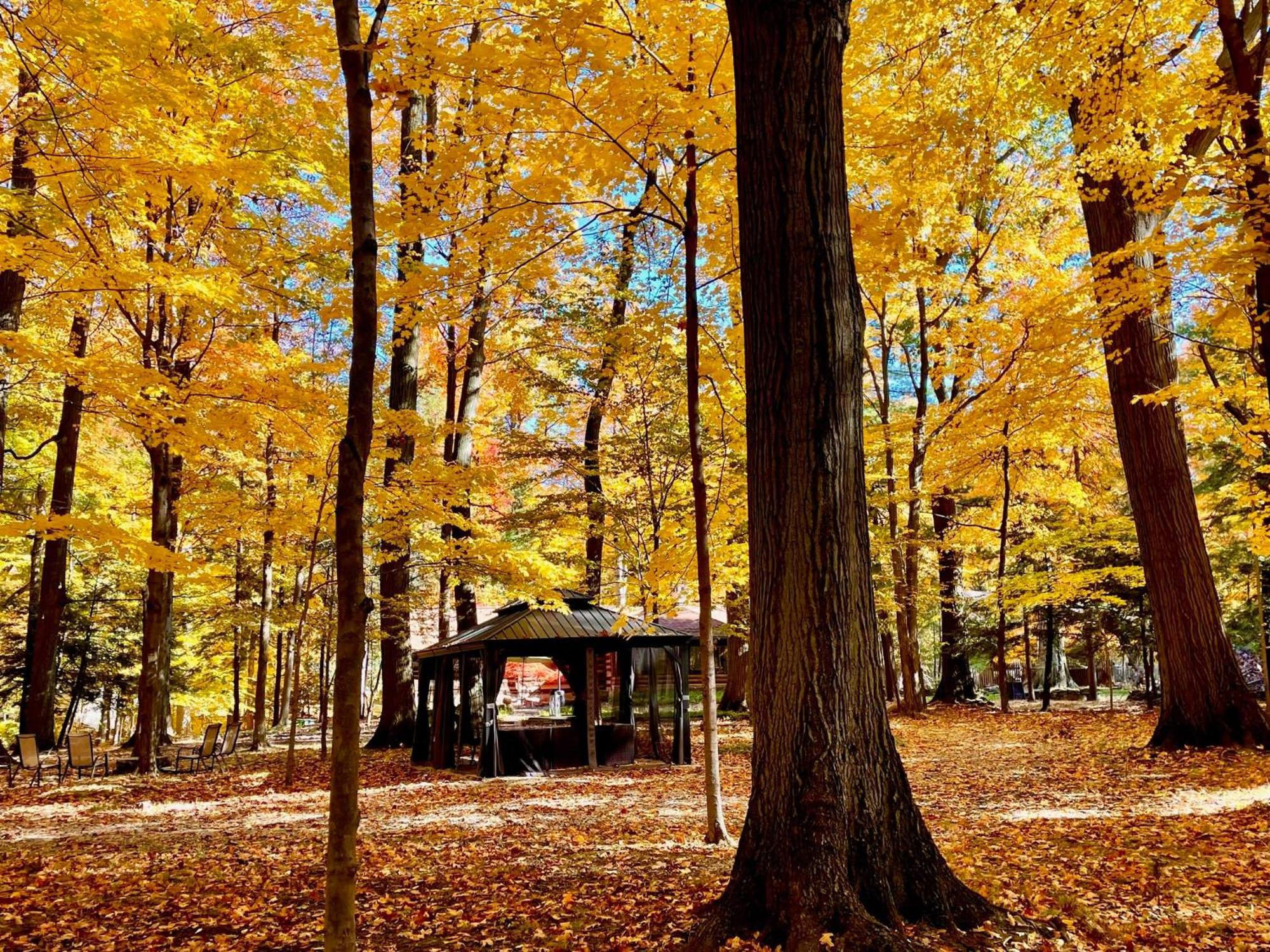 Log Cabin - Natures Oasis - Fire Pit & Gazebo Cleveland Dış mekan fotoğraf