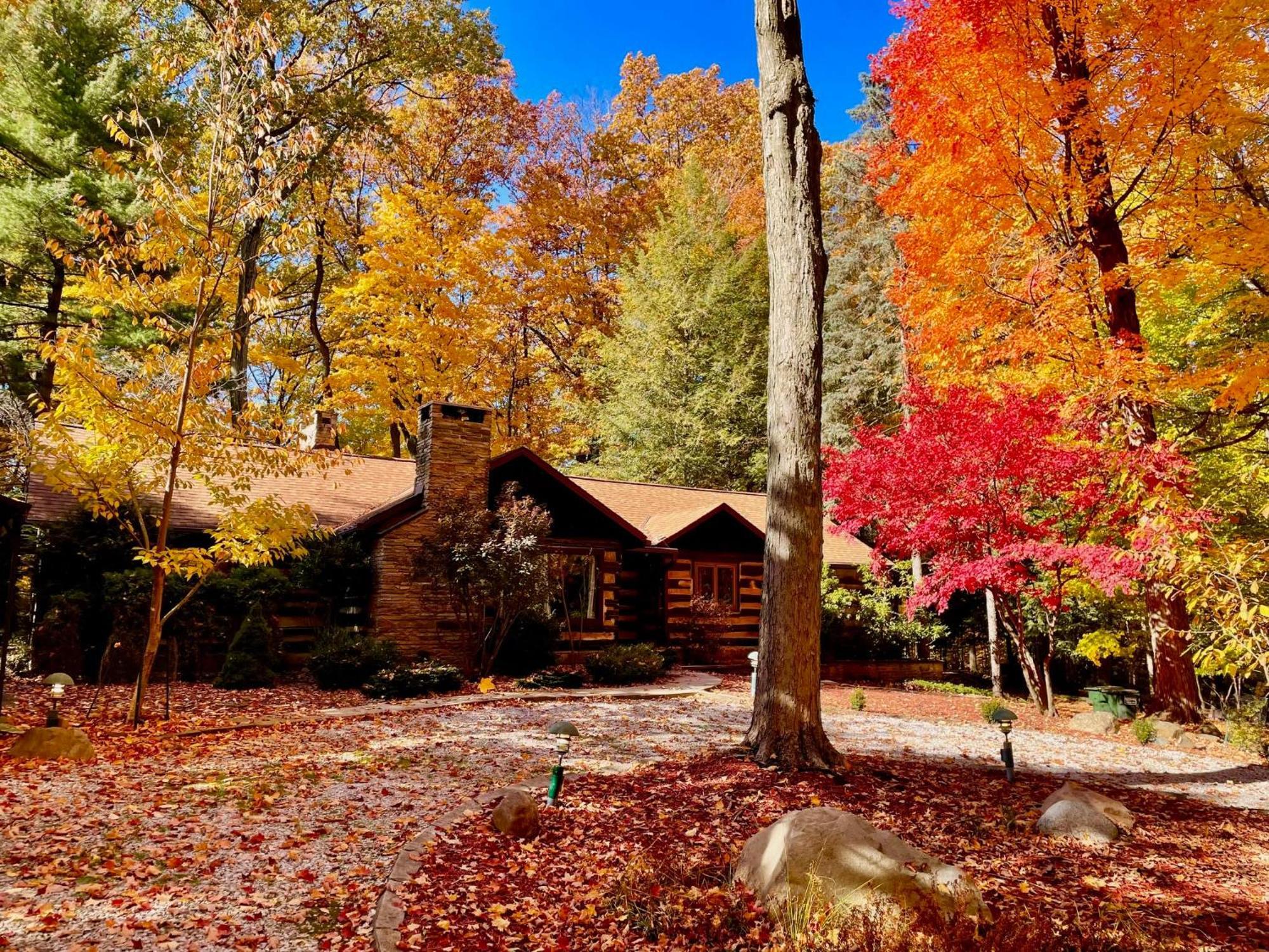 Log Cabin - Natures Oasis - Fire Pit & Gazebo Cleveland Dış mekan fotoğraf